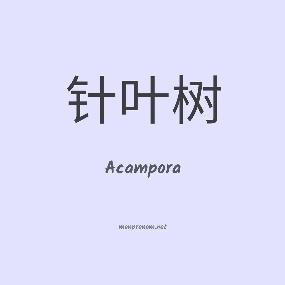 Acampora en chino