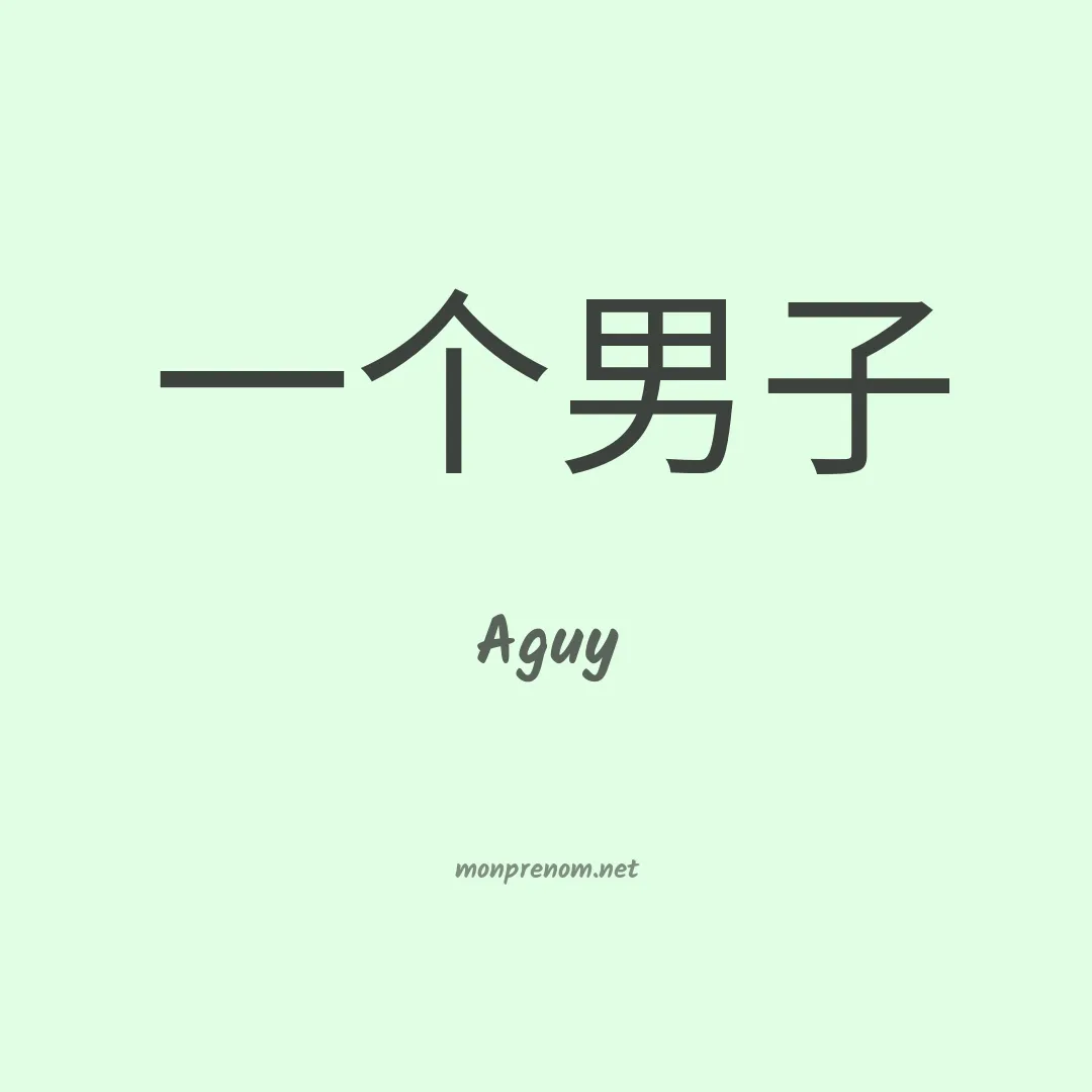 Aguy en chino
