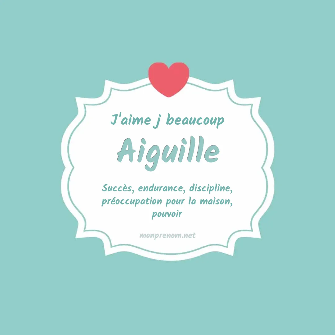 j'aime beaucoup Aiguille