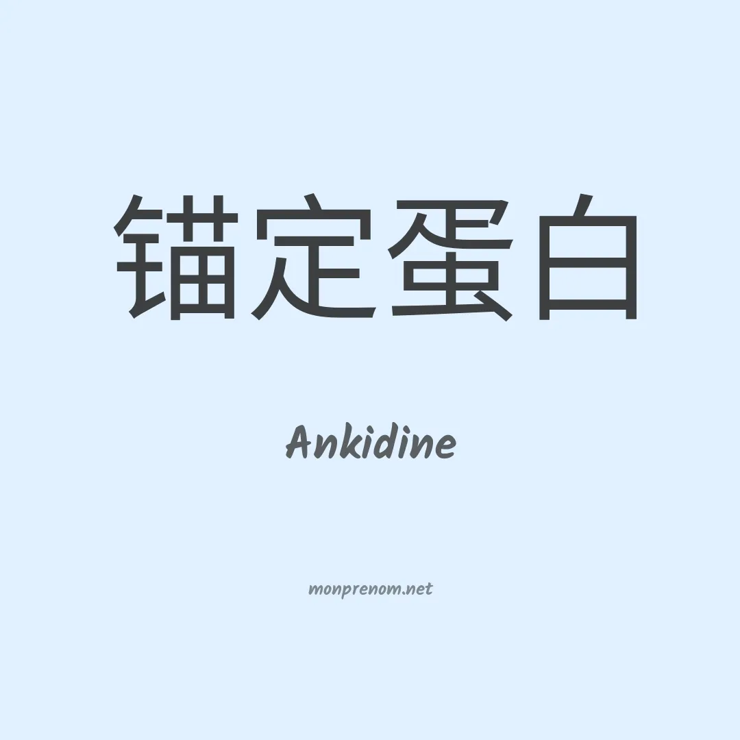 Ankidine en chino