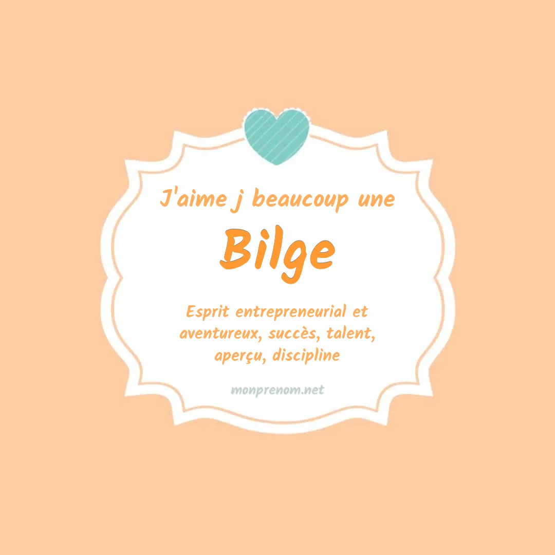 j'aime beaucoup Bilge