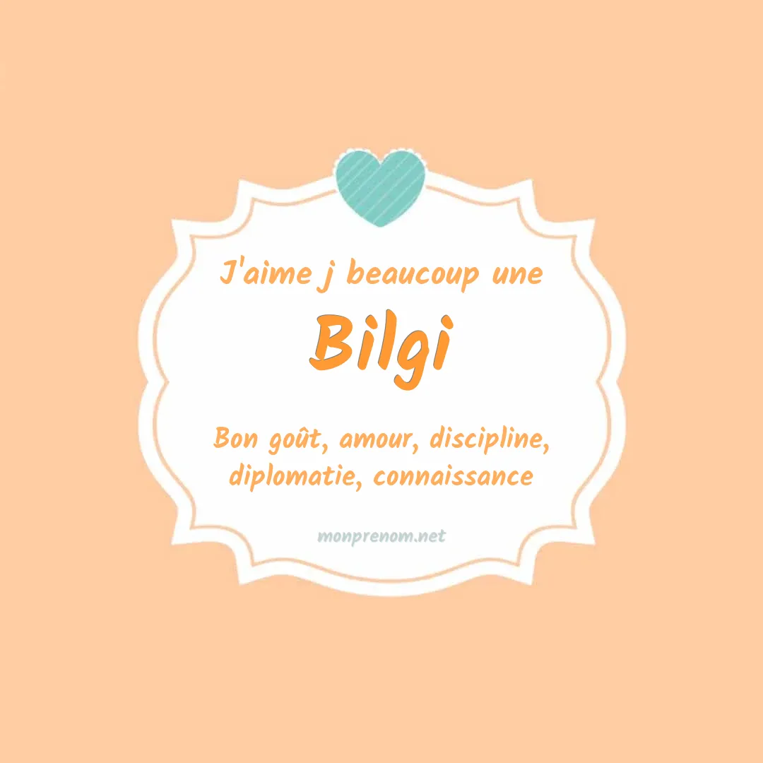 j'aime beaucoup Bilgi