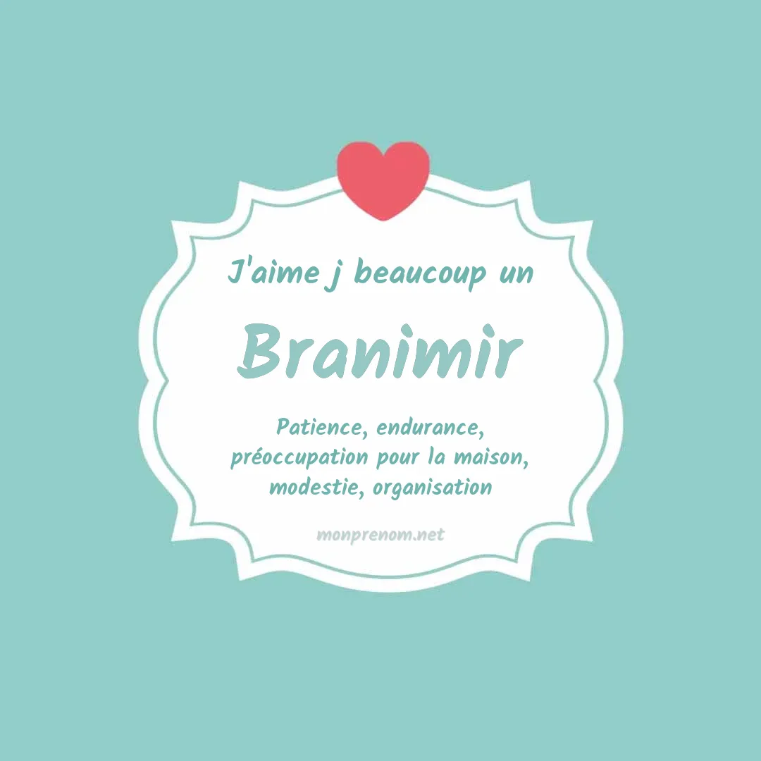 j'aime beaucoup Branimir