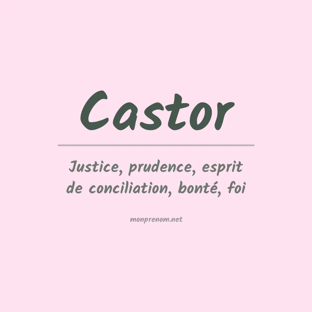 Signification du Prénom Castor