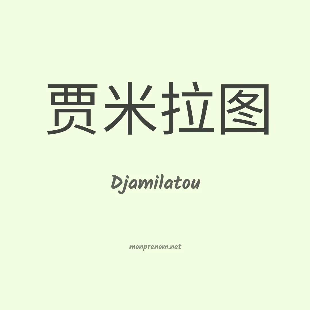 Djamilatou en chino