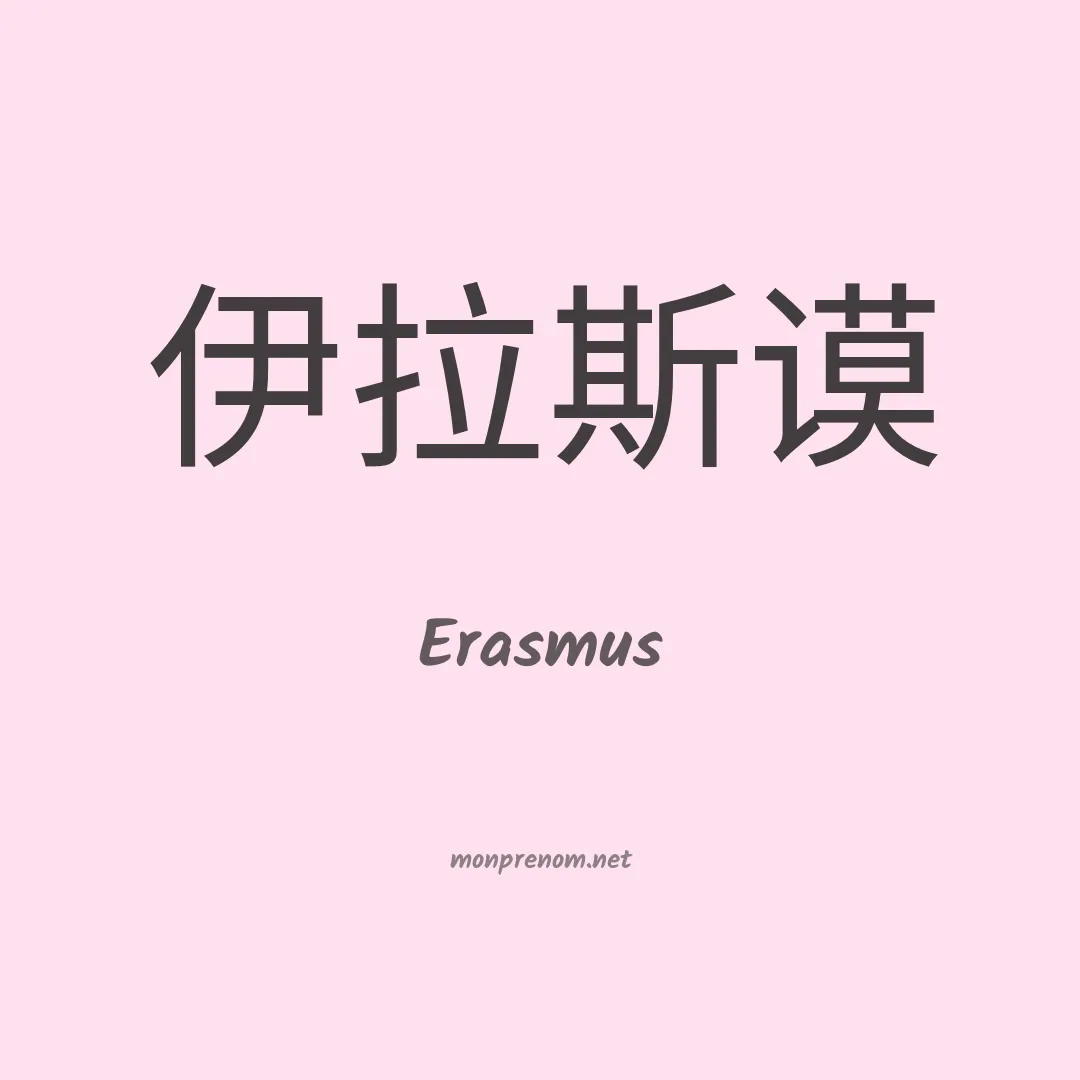 Erasmus en chino
