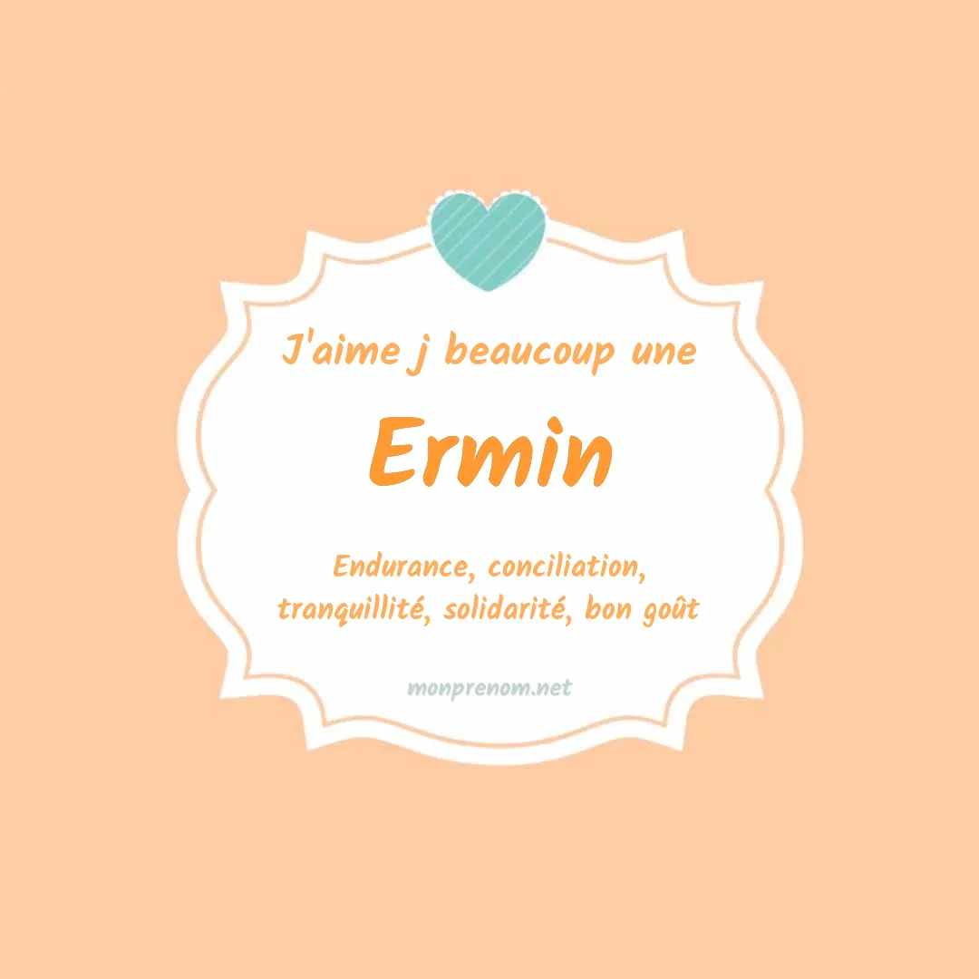 j'aime beaucoup Ermin