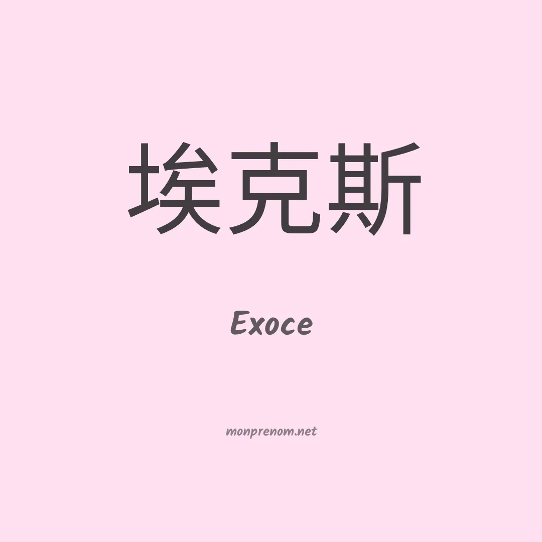 Exoce en chino