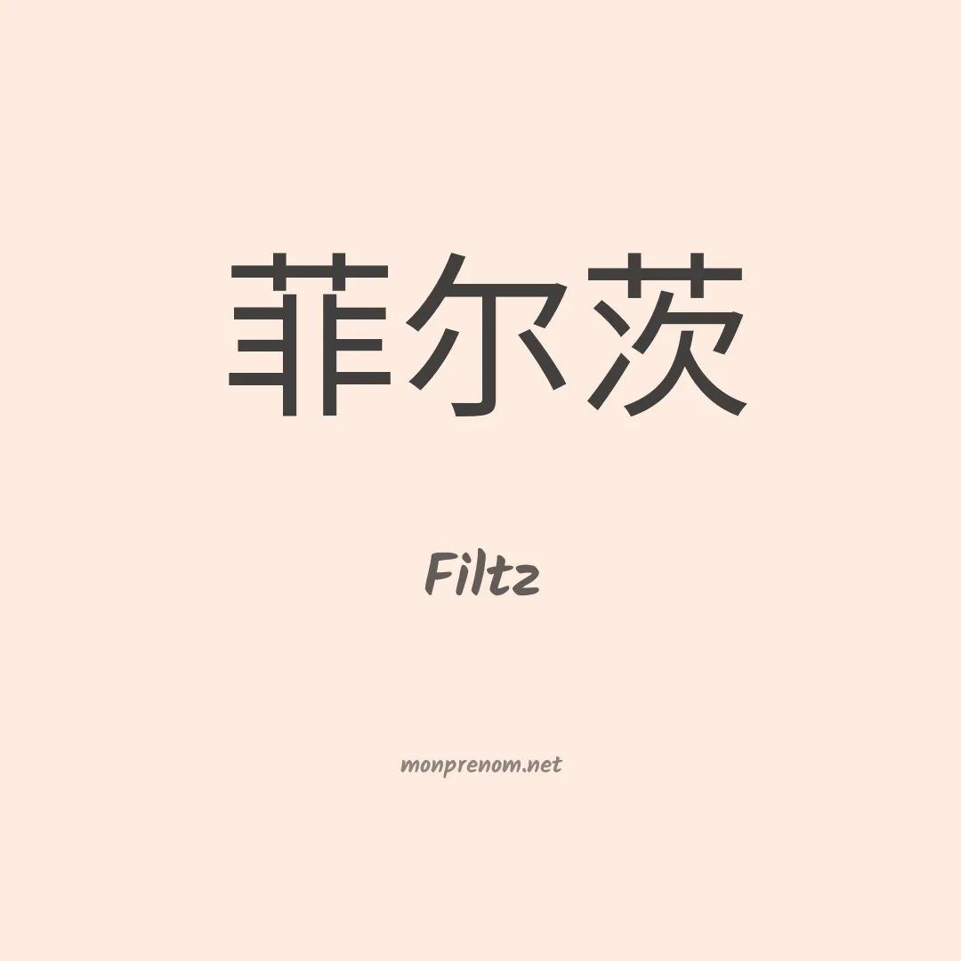 Filtz en chino