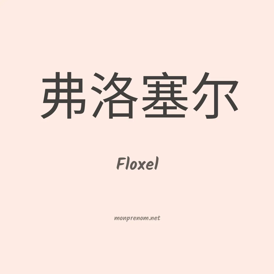 Floxel en chino