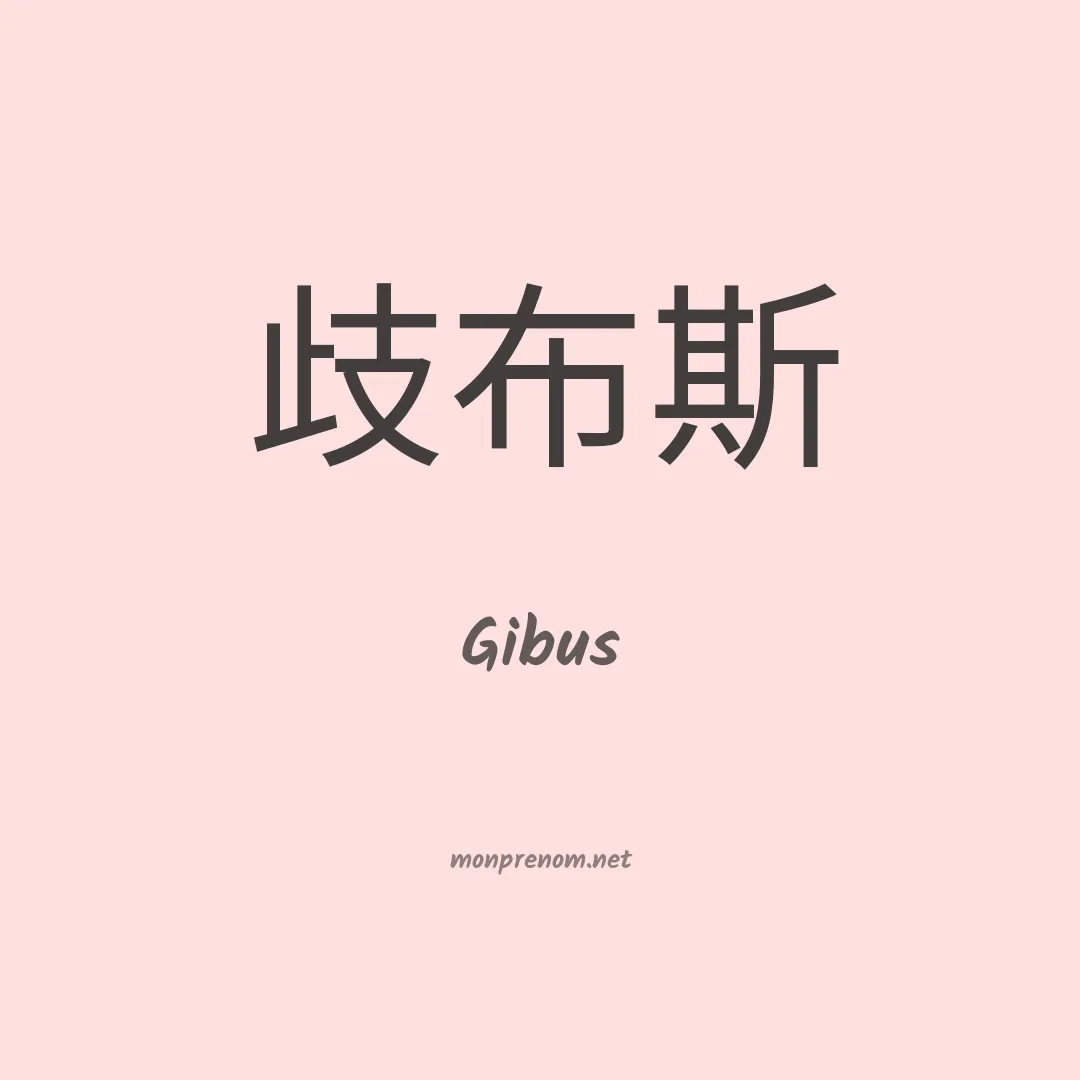 Gibus en chino