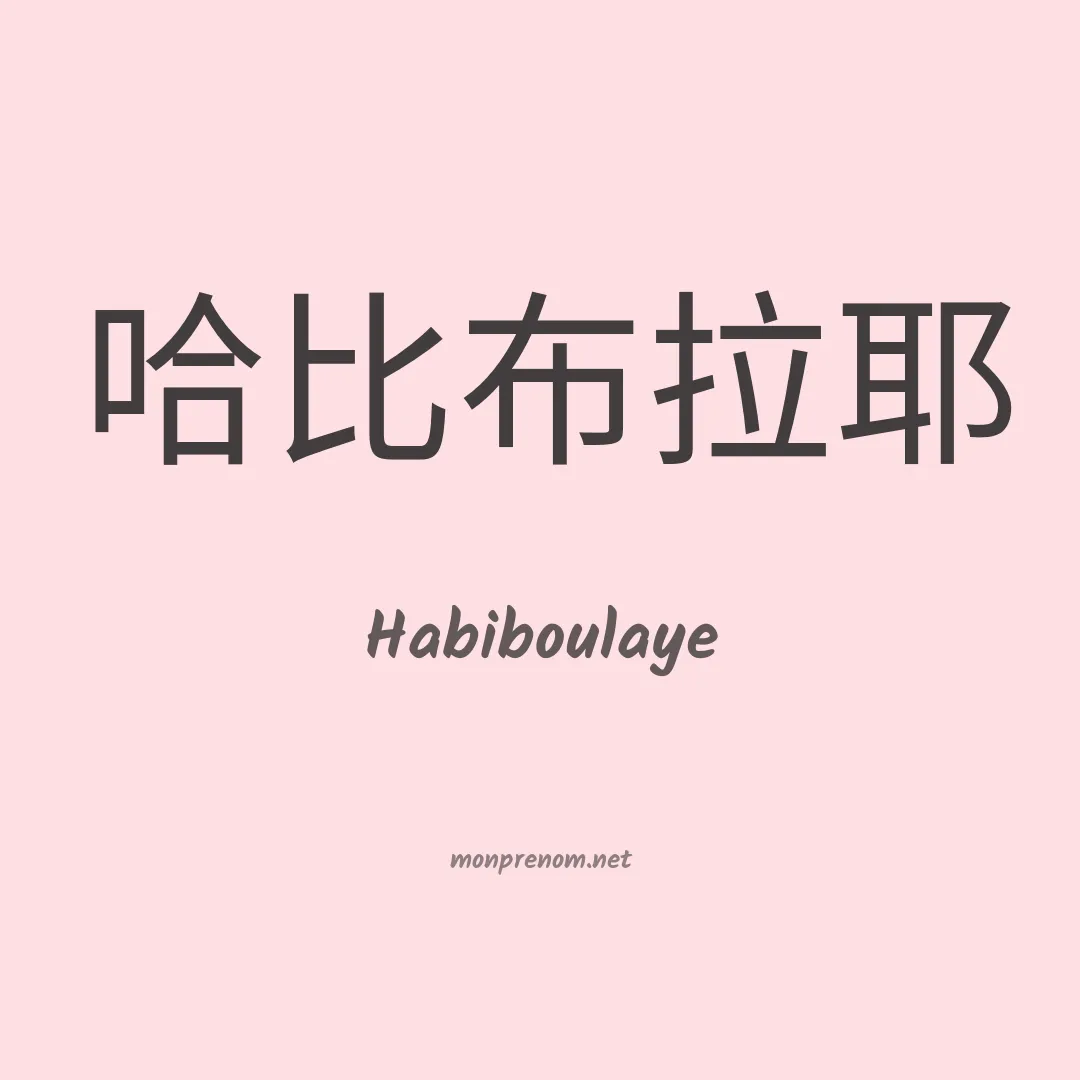 Habiboulaye en chino