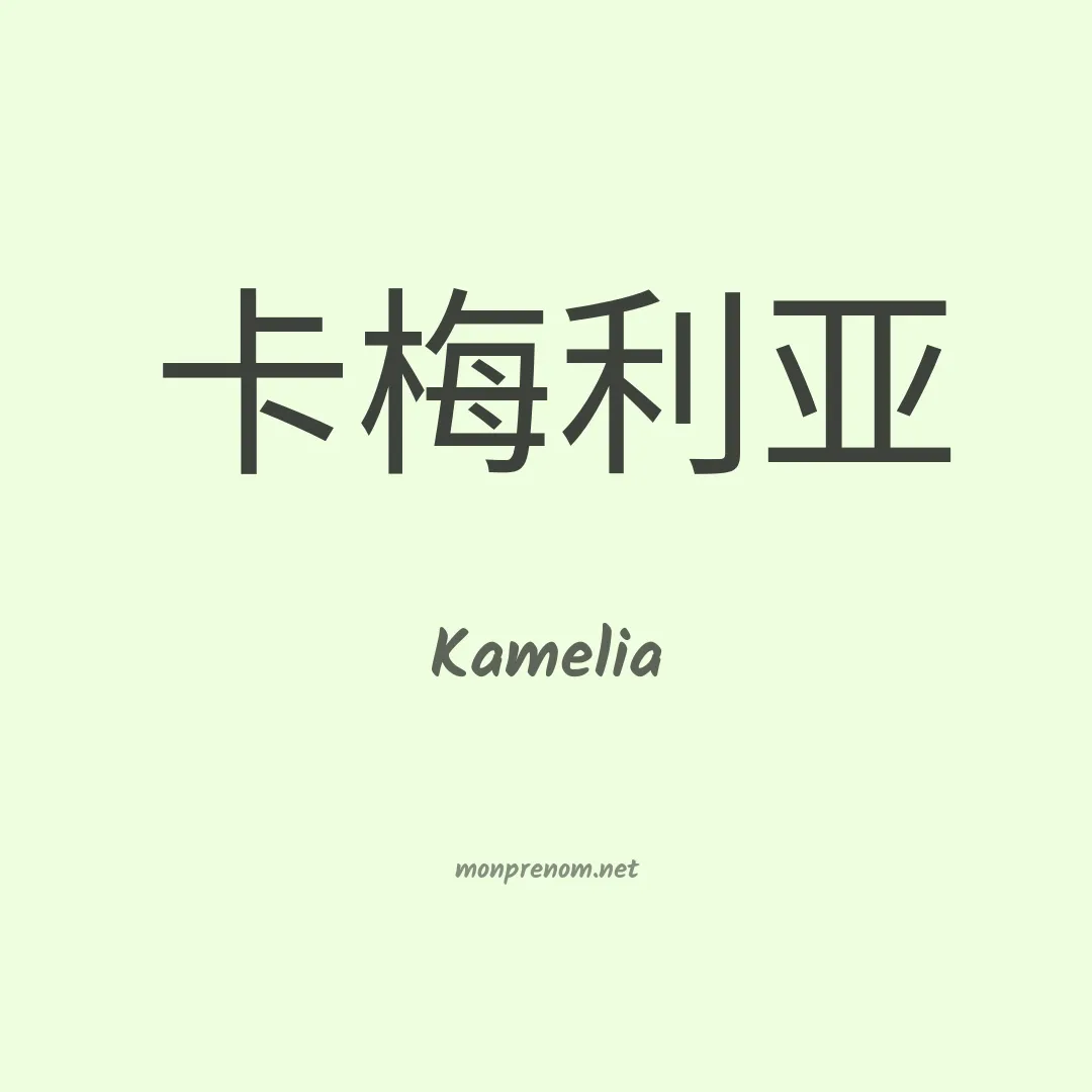 Kamelia en chino