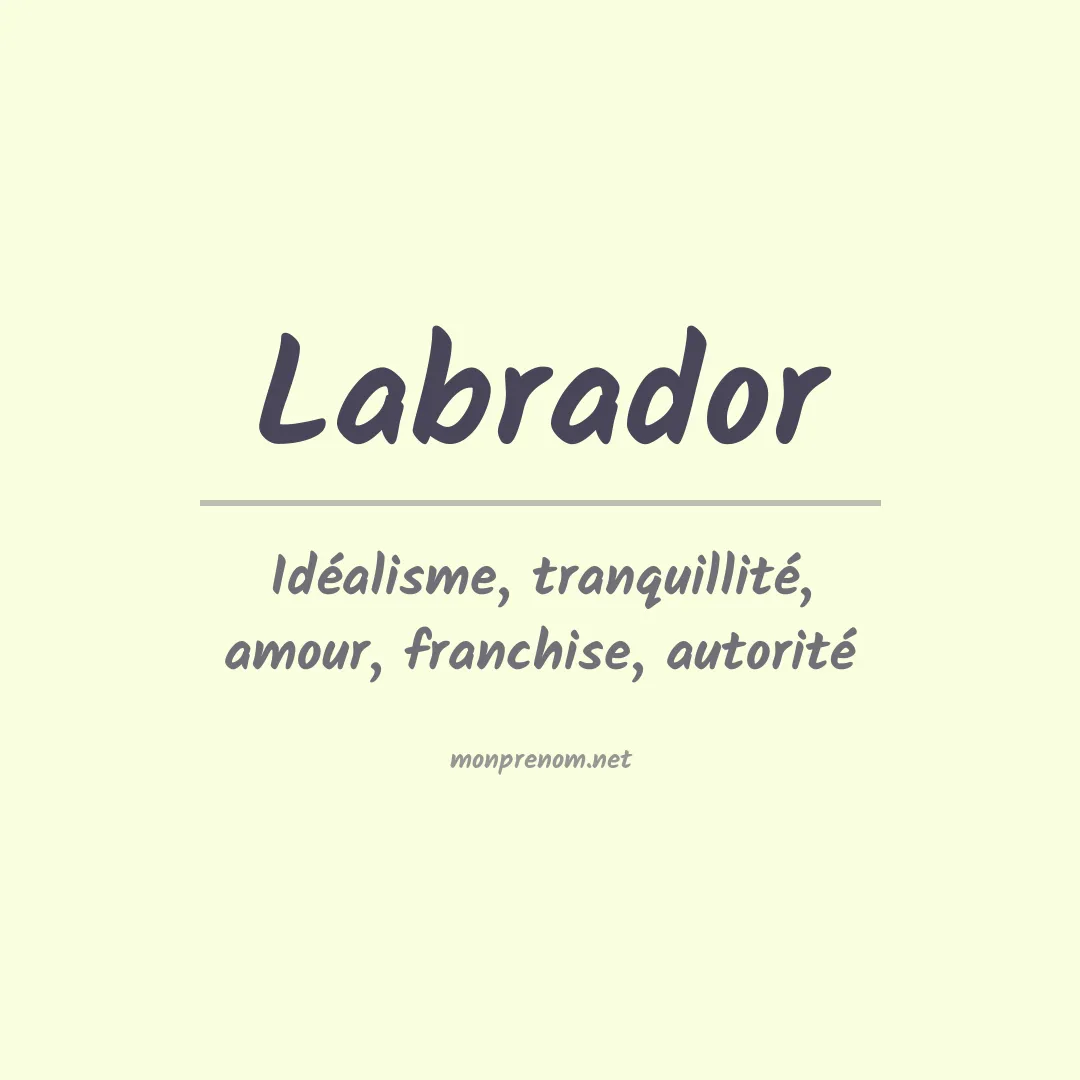 Signification du Prénom Labrador Signification du Prénom Labrador