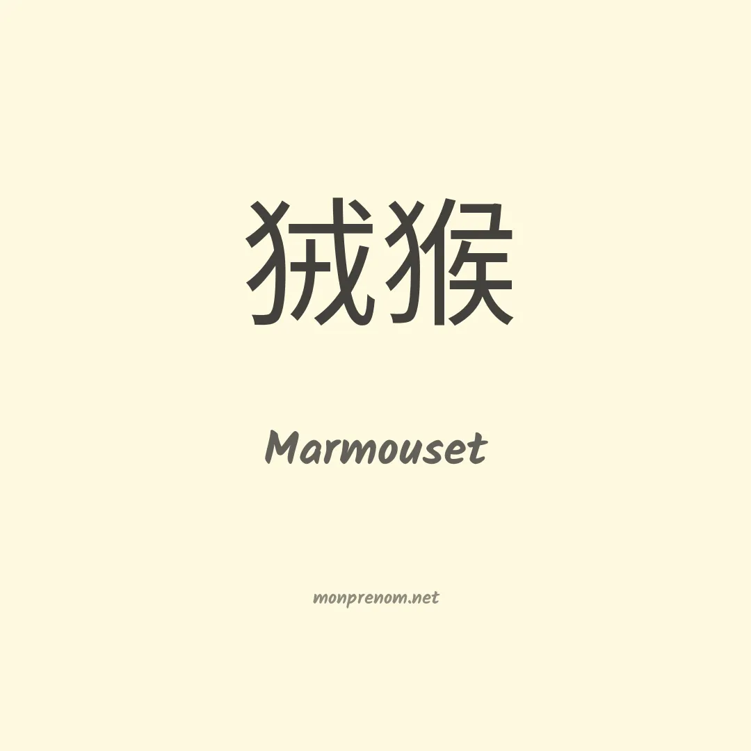 Marmouset en chino