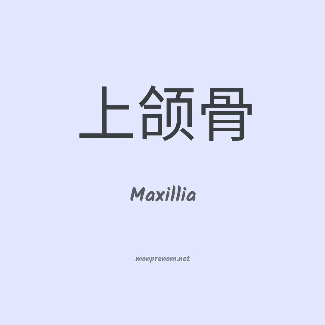 Maxillia en chino