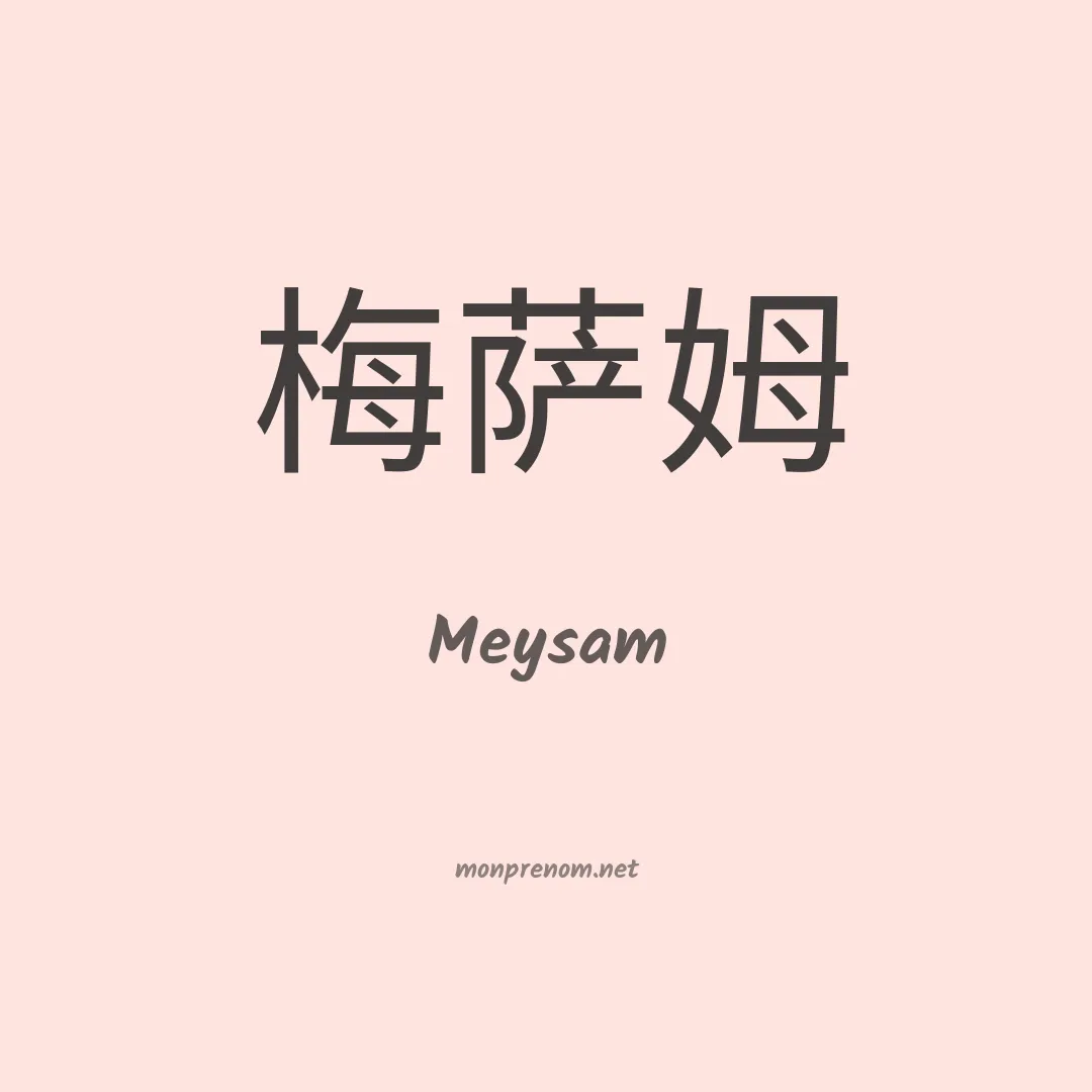 Meysam en chino