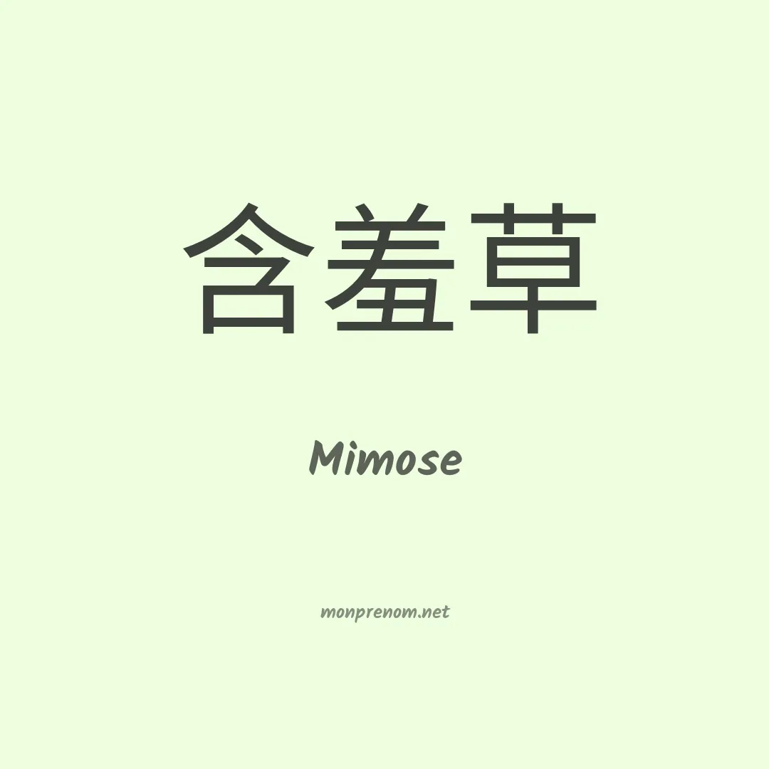 Mimose en chino