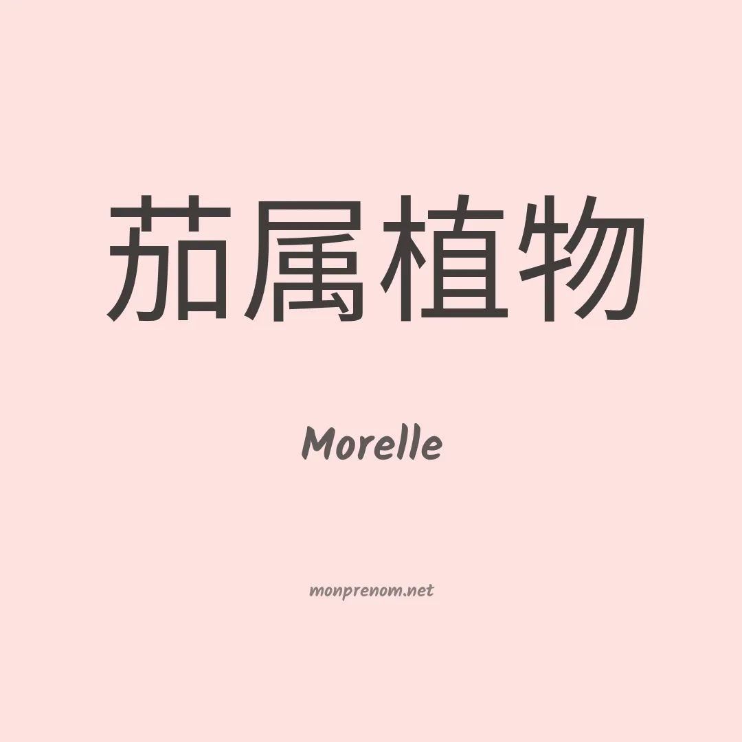 Morelle en chino