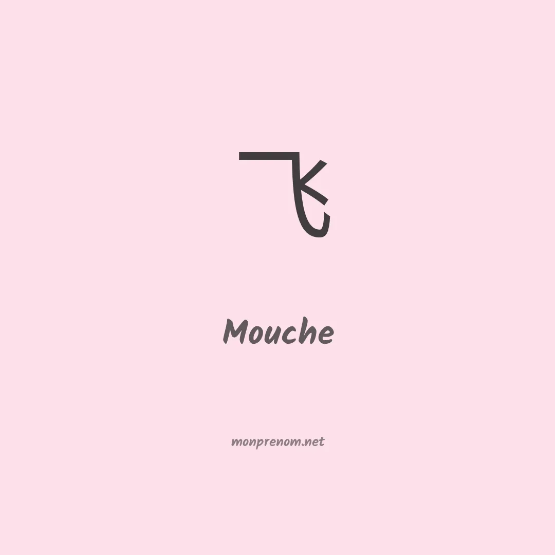 Mouche en chino