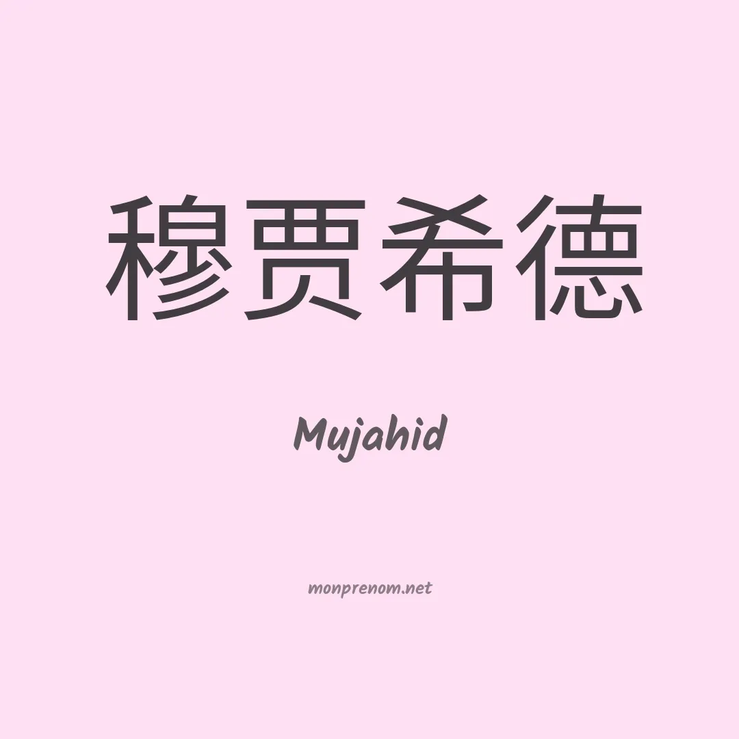 Mujahid en chino