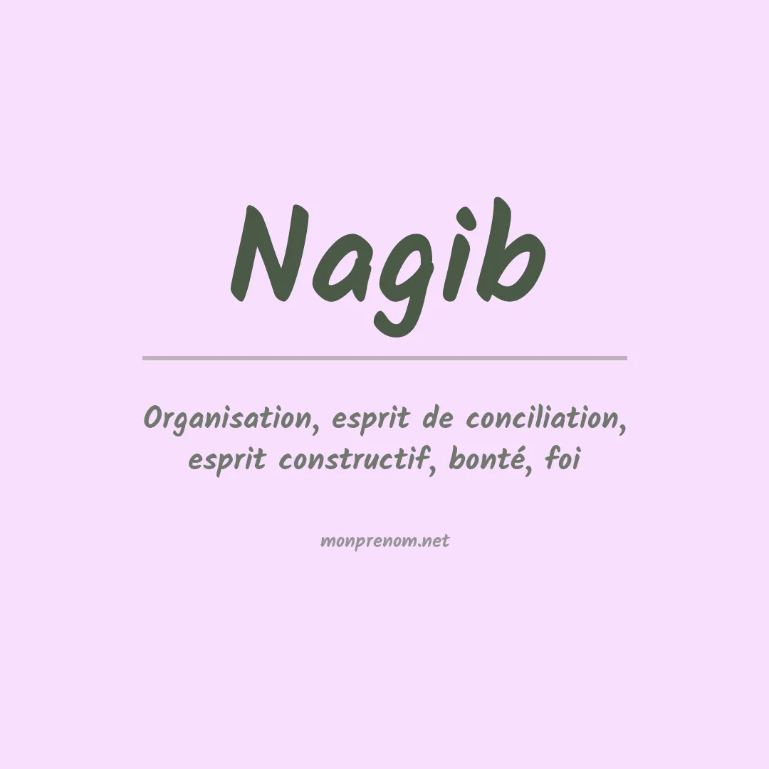 Signification du Prénom Nagib