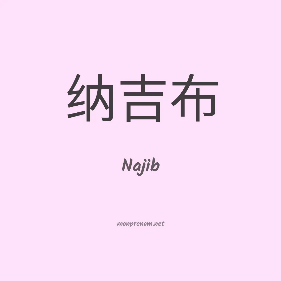 Najib en chino