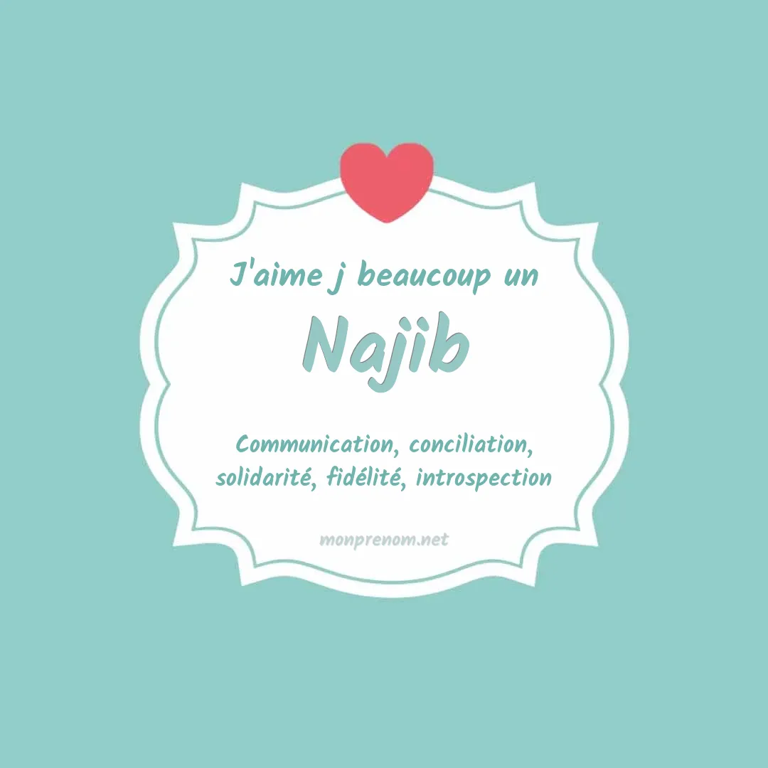 j'aime beaucoup Najib