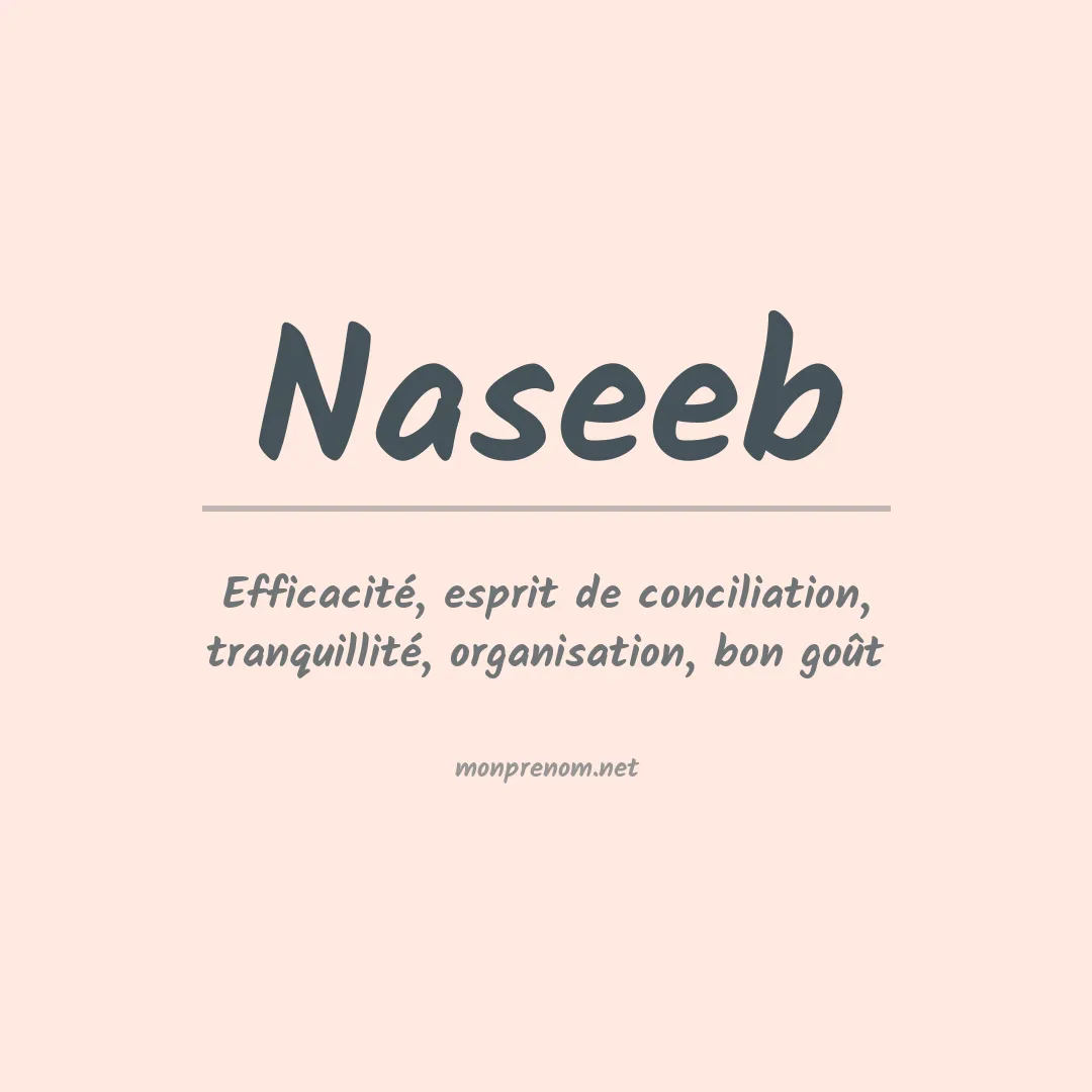 Signification du Prénom Naseeb