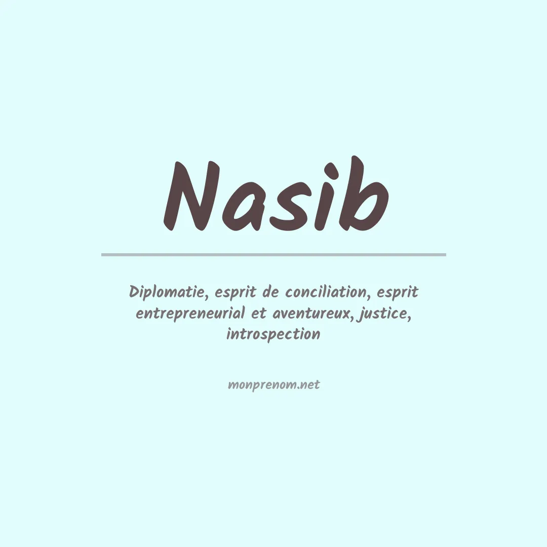 Signification du Prénom Nasib Signification du Prénom Nasib