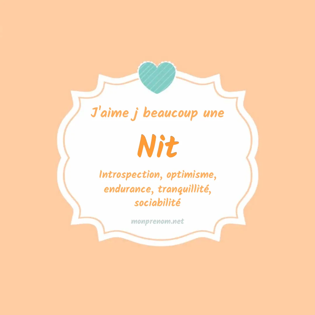 j'aime beaucoup Nit