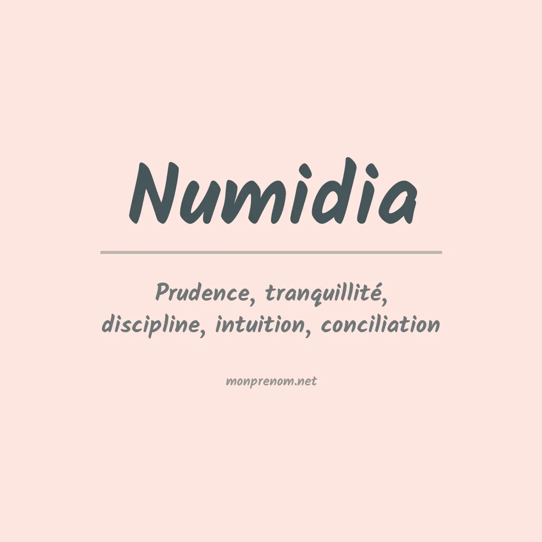 Signification du Prénom Numidia Signification du Prénom Numidia