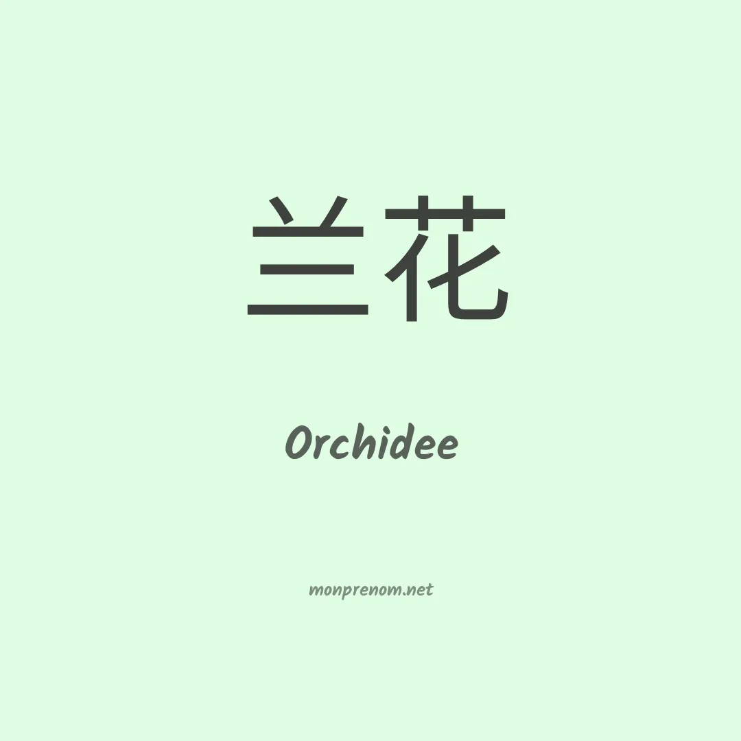 Orchidee en chino