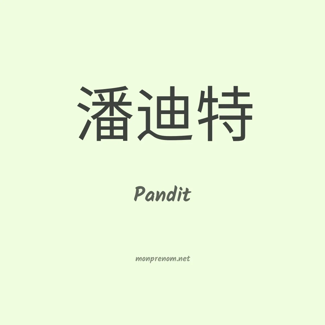 Pandit en chino