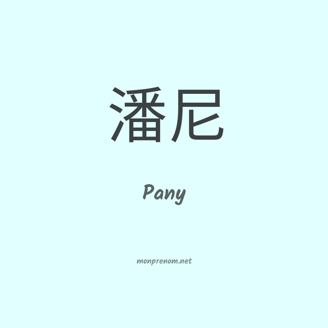 Pany en chino
