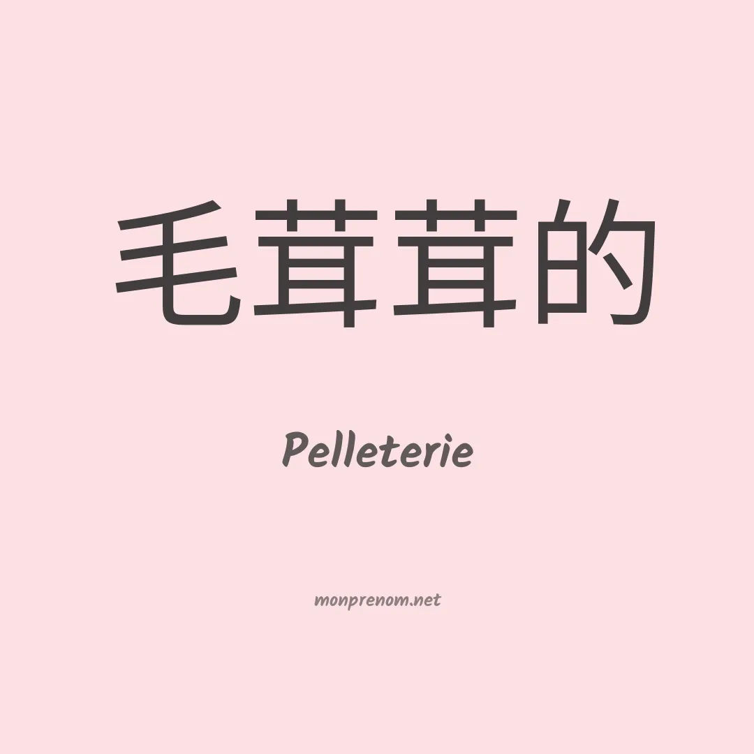 Pelleterie en chino