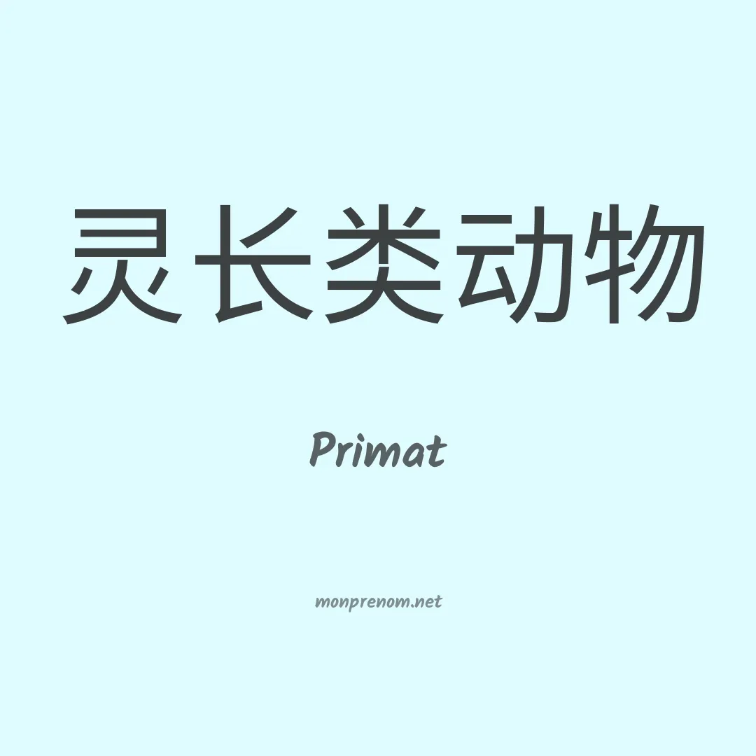 Primat en chino