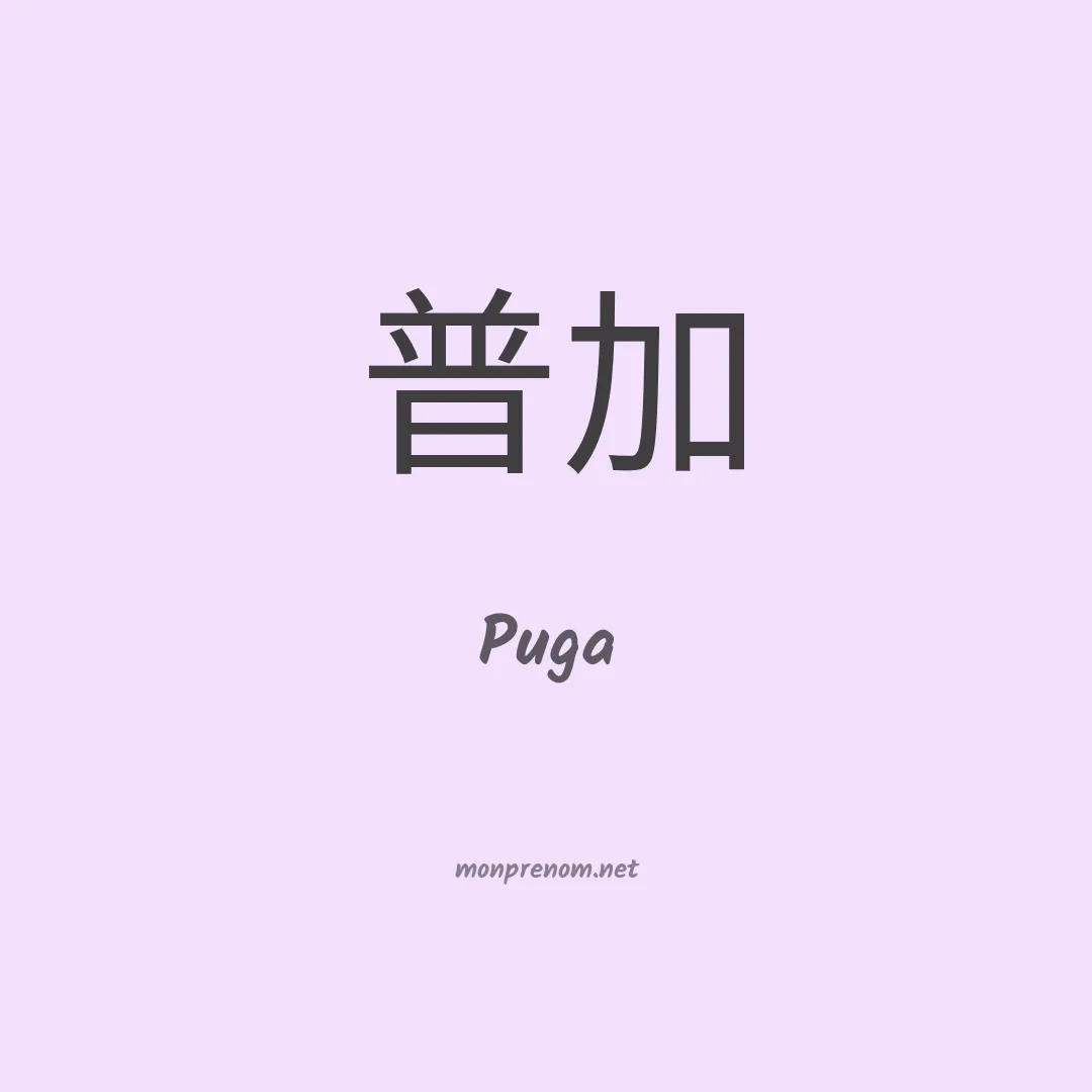 Puga en chino
