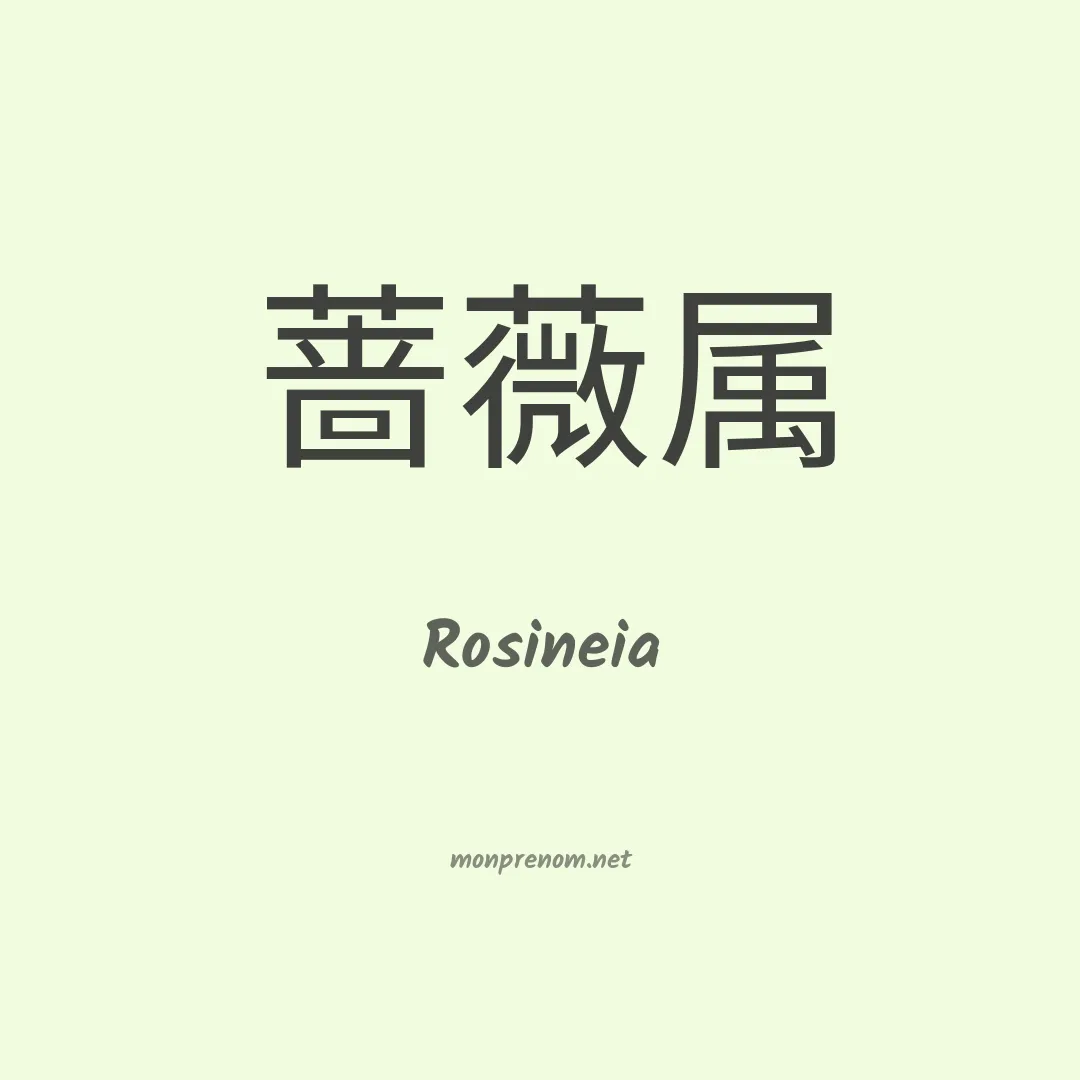 Rosineia en chino
