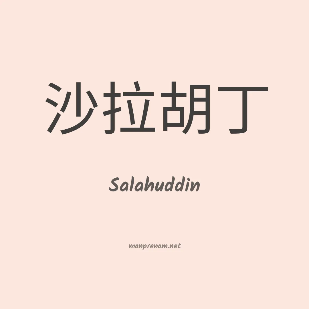 Salahuddin en chino