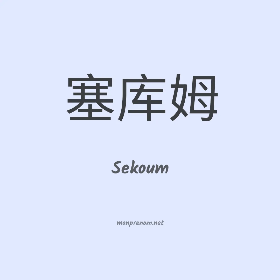Sekoum en chino