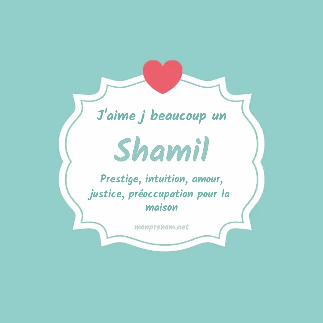 j'aime beaucoup Shamil