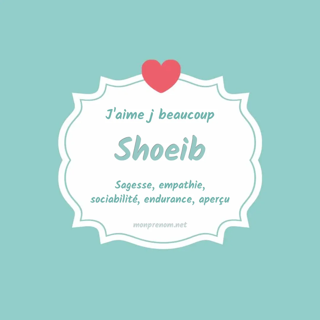 j'aime beaucoup Shoeib