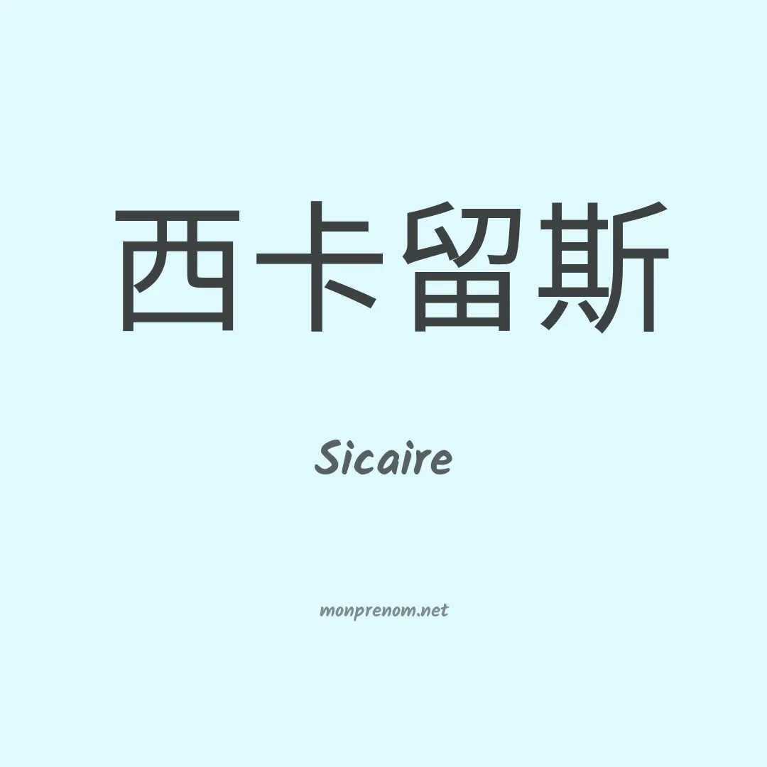 Sicaire en chino