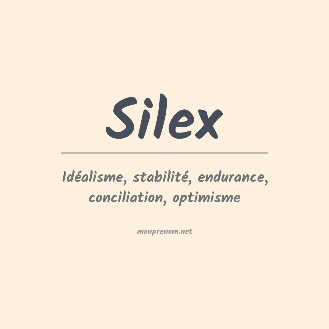 Signification du Prénom Silex Signification du Prénom Silex