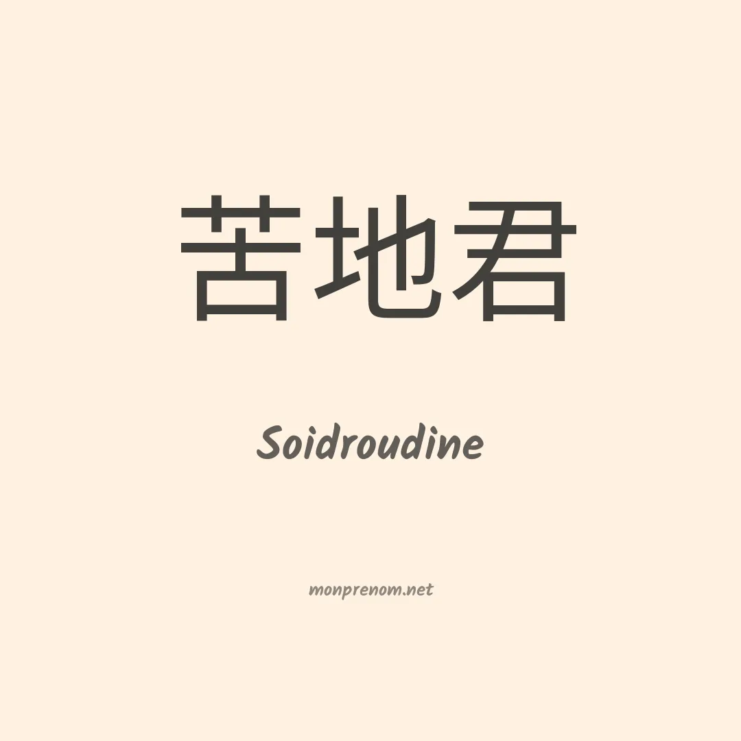 Soidroudine en chino