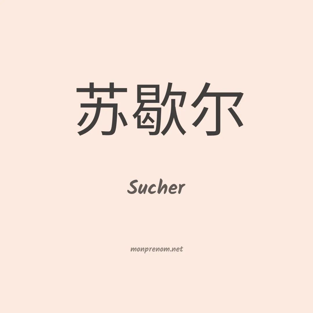 Sucher en chino