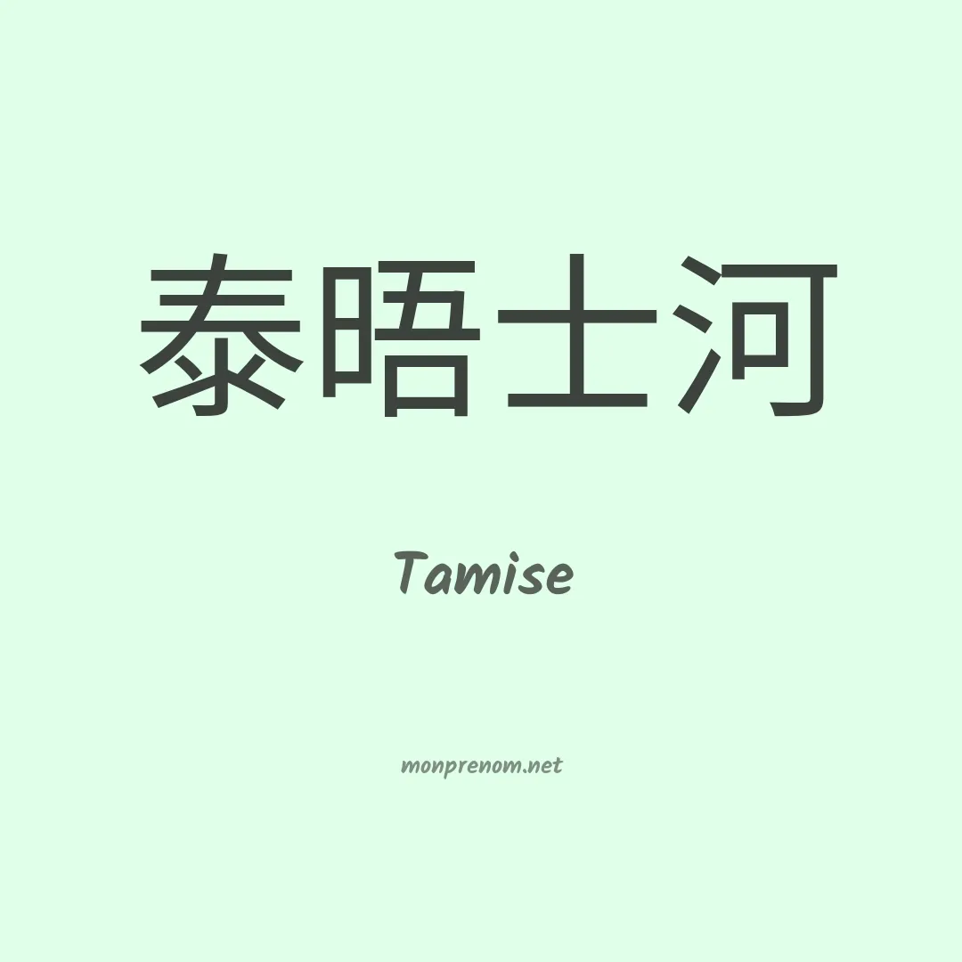 Tamise en chino