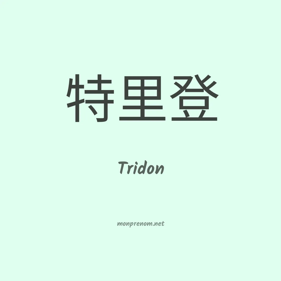 Tridon en chino
