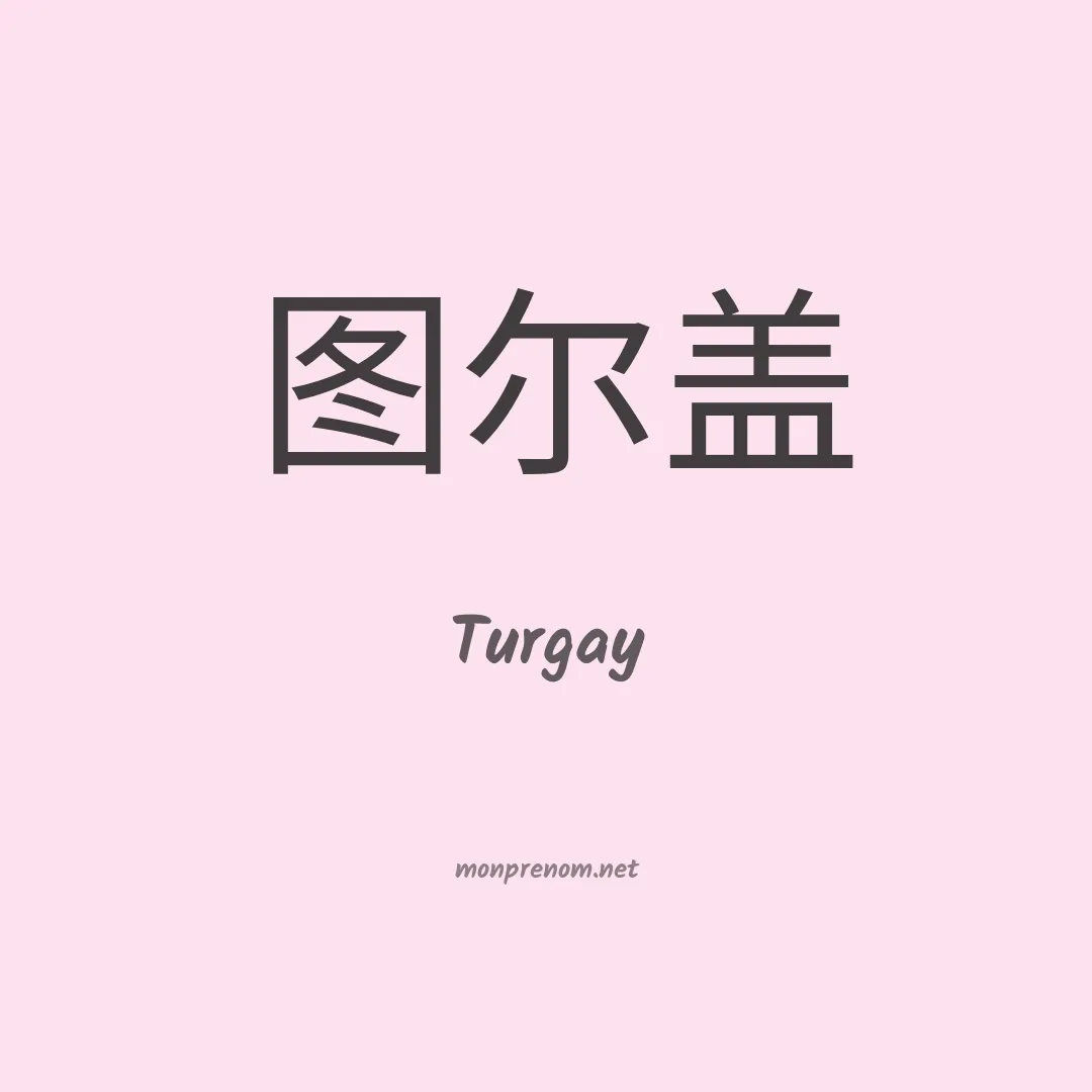 Turgay en chino
